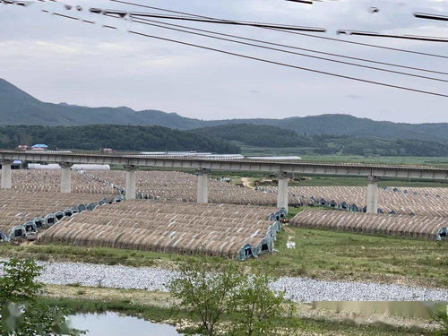 庄河李洞村村民,过上了美滋滋儿 向往的生活