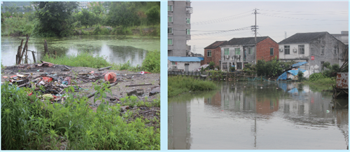剿灭劣Ⅴ类水“十大”负面典型案例曝光