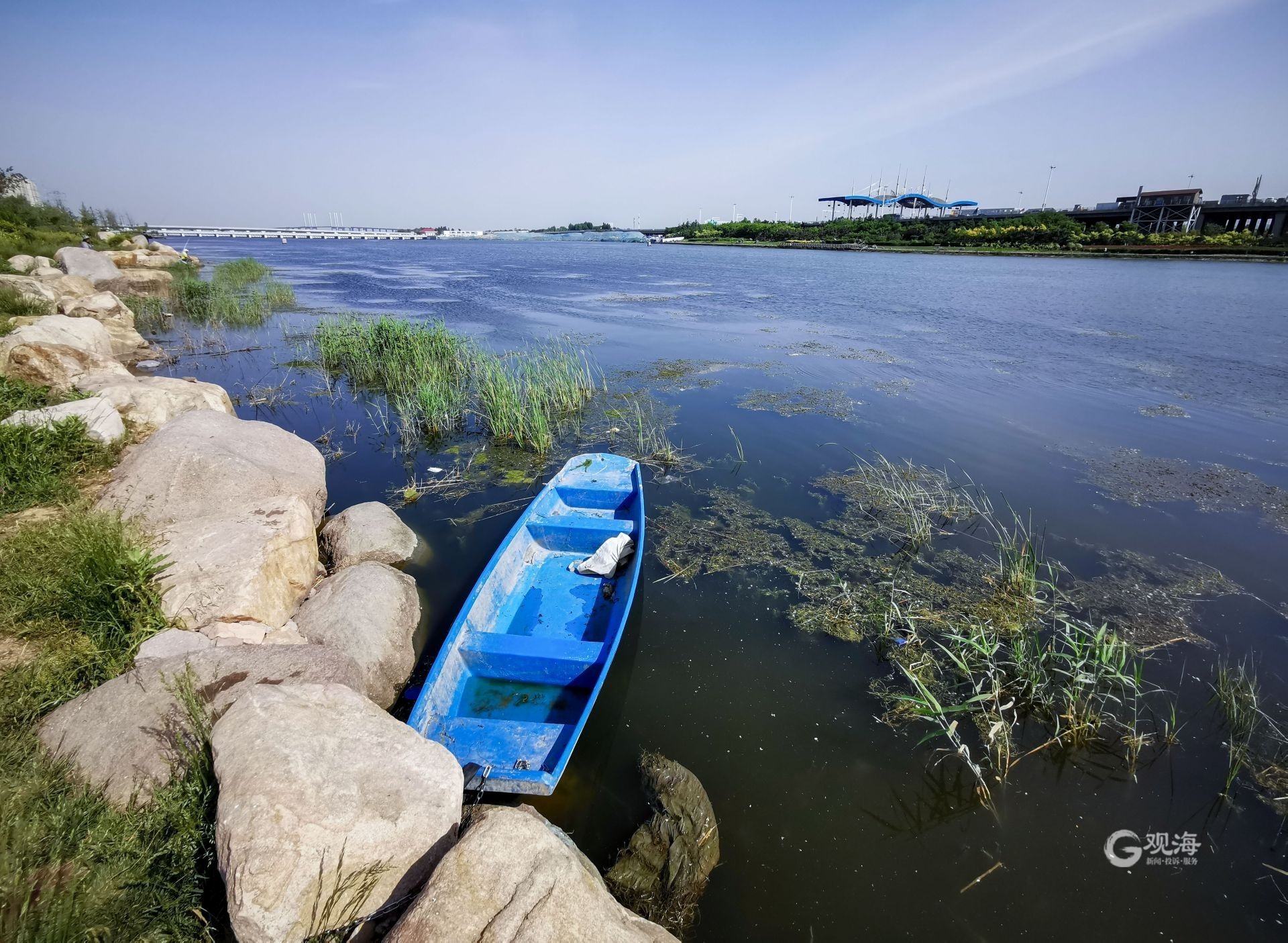 夏日里的一抹清凉绿,航拍李村河入海口