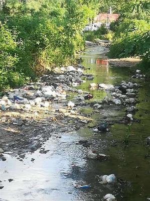 青林村_辽宁省大连市庄河市太平岭乡青林村