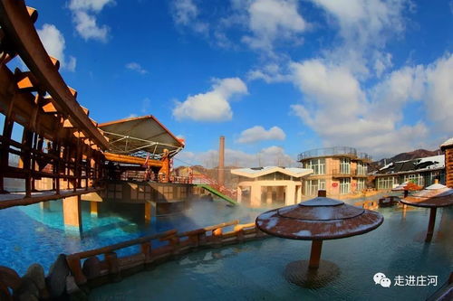 2019,我在庄河等你