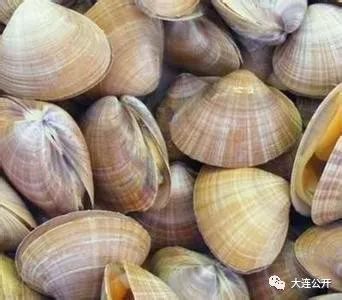 庄河市获评“中国贝类产业之都”称号