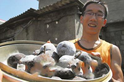 辽宁冻尖把梨_辽宁冻尖把梨的介绍_辽宁冻尖把梨