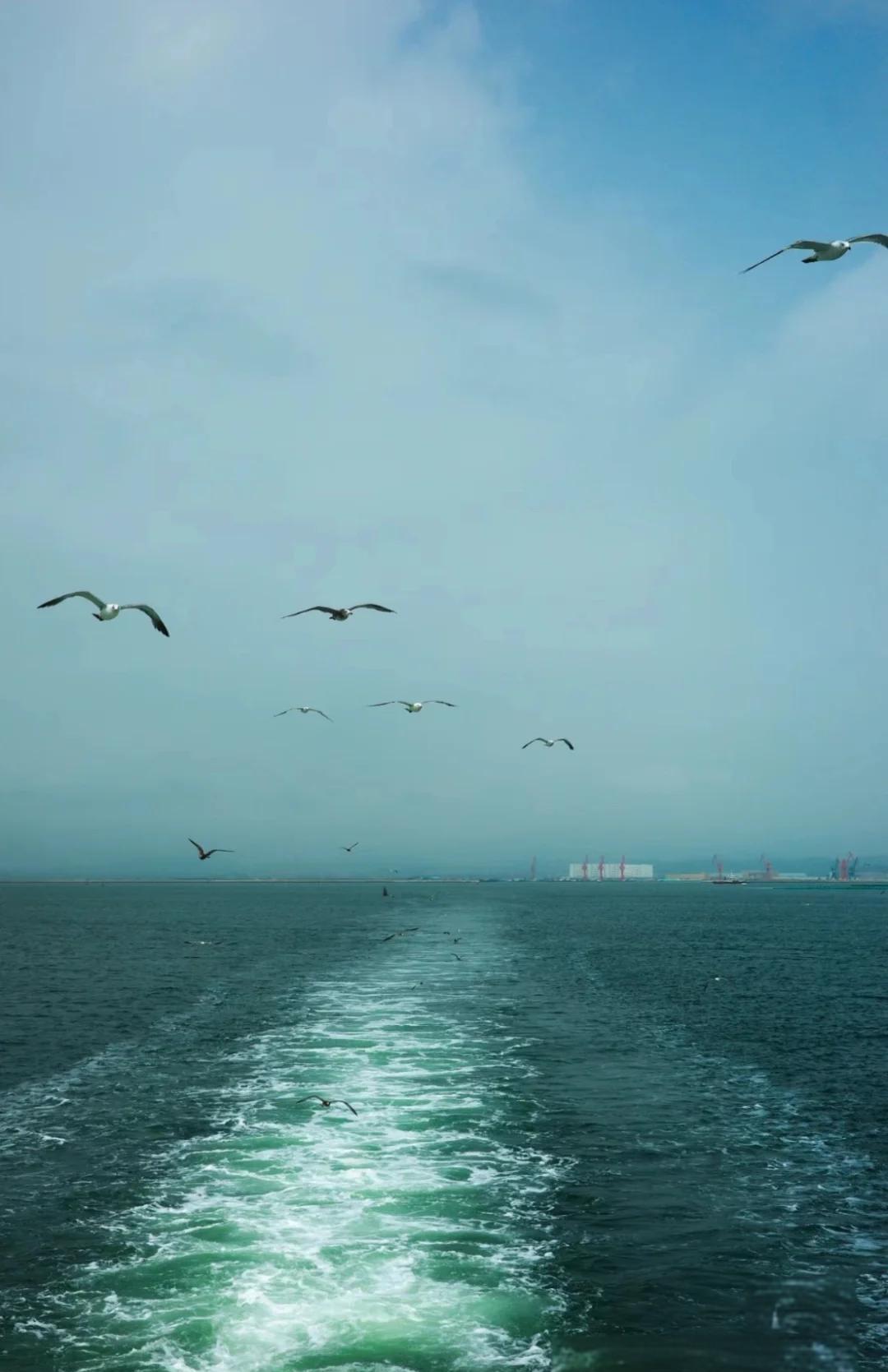 探秘大连庄河石城岛 一座被时光雕琢的生态海岛