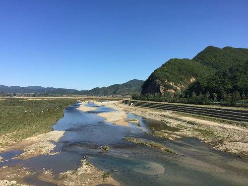 庄河桂云花与天门山 近郊探幽，尽享自然之美