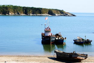 庄河花园口风貌专辑 沾光捉影中的庄河