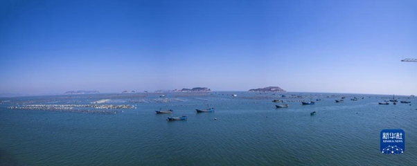 走进县城看发展丨辽宁庄河:生态优先闯出振兴发展新路