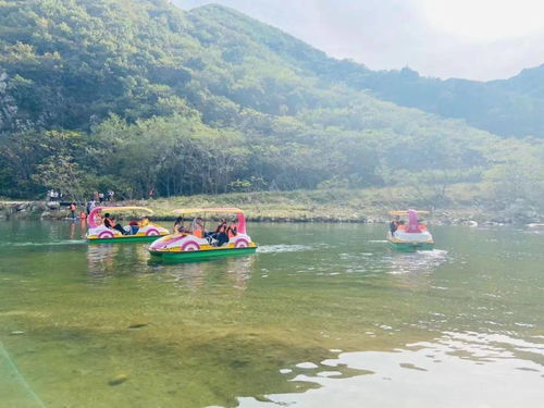 大美庄河轻松之旅 回归自然的山水诗篇