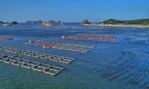 发展中的庄河 产业升级与你我共进的时代交响