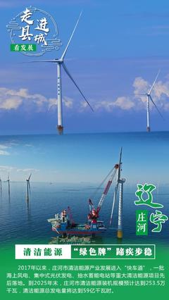 走进县城看发展丨辽宁庄河 生态优先闯出振兴发展新路